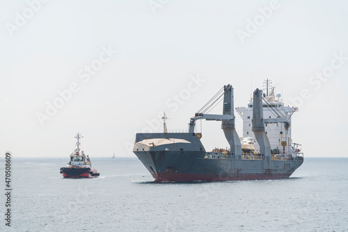 Cargo ships at sea at sunny day