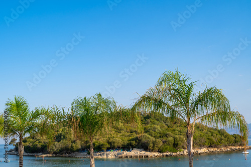 Three palm trees with a small island and blue sky in the background