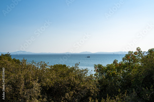 View from a hill with trees of the sea in summer