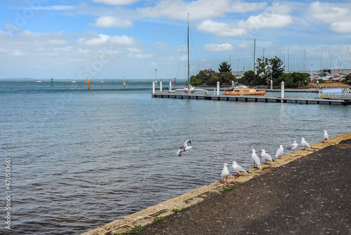 Walk in the Hastings Coastal Reserve.