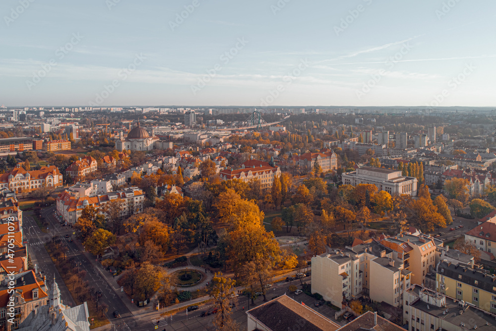 Jesień w miejskim parku