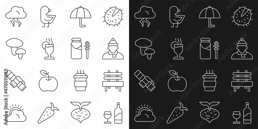 Set line Wine bottle with glass, Bench, Autumn clothes, Umbrella, Mulled wine, Mushroom, Storm and Jar of honey and dipper stick icon. Vector