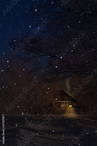 Beautiful night winter christmas landscape. View of lonely snowy country house with warm light from windows. Starry night and a hunch of Christmas. Vertical orientation