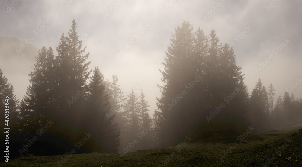 Misty mountain landscape at Amden in the Swiss Alps Misty mountain landscape at Amden in the Swiss Alps