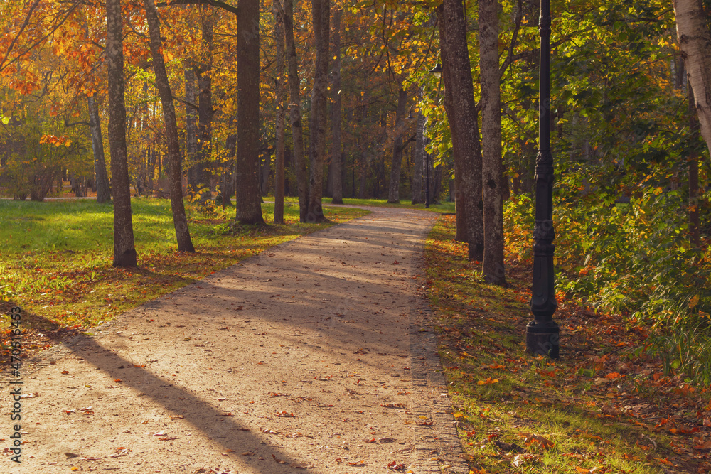 Sandy dirt road in the park in autumn