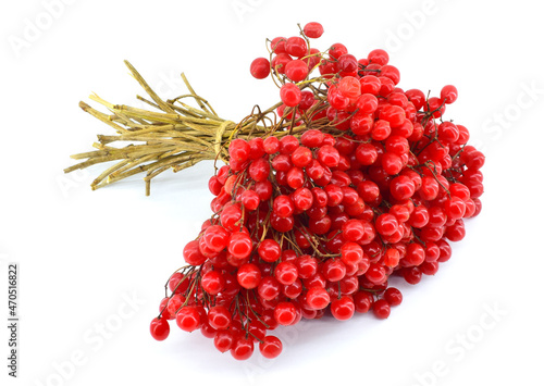Bunch of red viburnum berries close up isolated on white background.