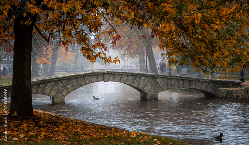 bridge on the water