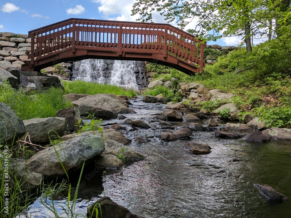 Fototapeta premium bridge over the river