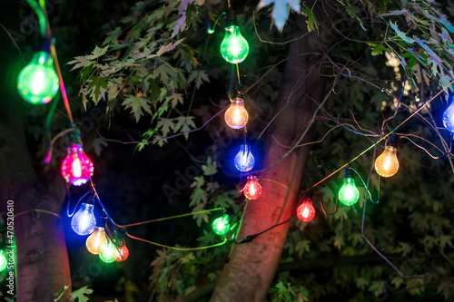 Colored elctric lamp bulbs  hanging on a tree on the evening street. photo