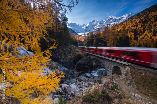 Red train Bernina Express whizzes through the forests in the Swiss Alps, Graubunden, Switzerland photo