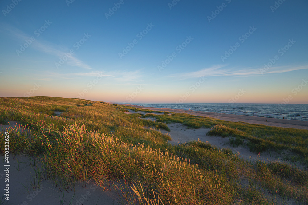 Dunes in the evening light at the danish west coast. High quality photo