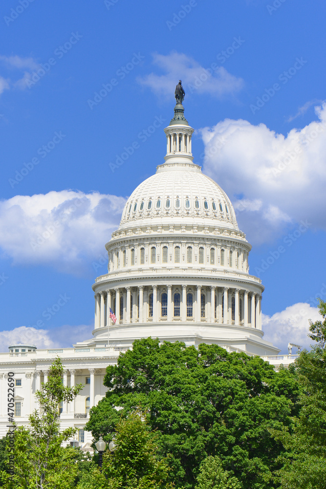 Naklejka premium Capitol Building and the clouds - Washington DC United States