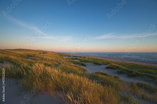 Fototapeta Naklejka Na Ścianę i Meble -  Dunes in the evening light at the danish west coast. High quality photo