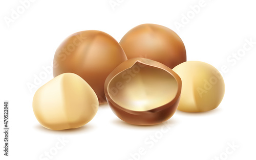 3d realistic vector icon. Macadamia nut with or without shell. Isolated on white background.