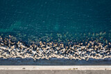 Drone view of Tetrapods on a shore in Sozopol town on the Black Sea coast in Bulgaria