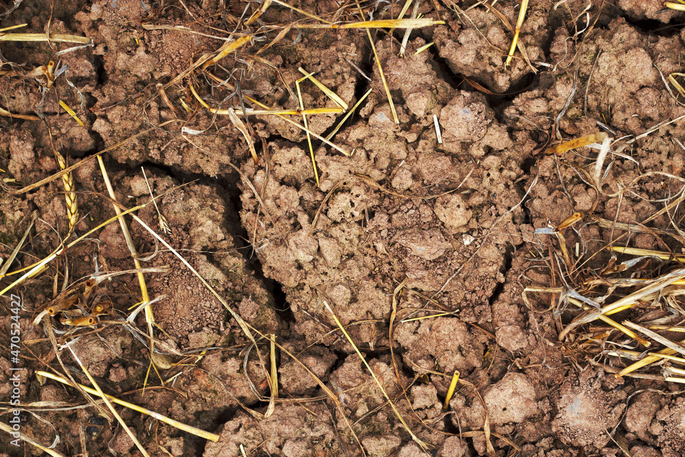 dry soil in the filed after wheat harvesting dry soil in the filed after wheat harvesting