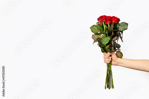 Fototapeta Naklejka Na Ścianę i Meble -  A beautiful bouquet of red roses in a woman hand is isolated on white background. Trendy poster for Valentine's Day, International Women's Day or mothers day. Copy space.