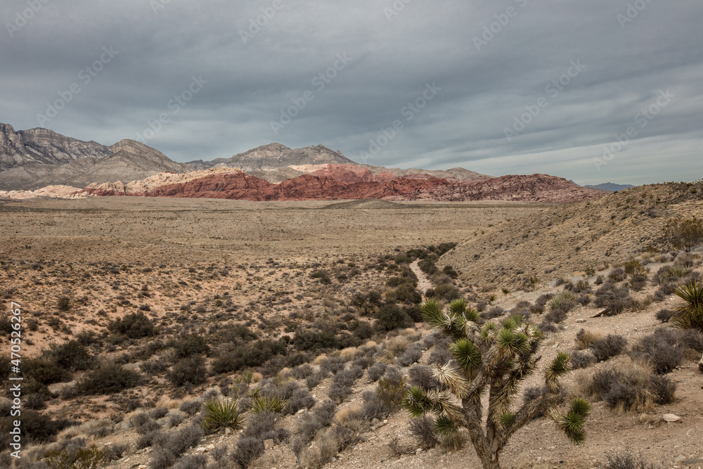 Red Rock Canyon