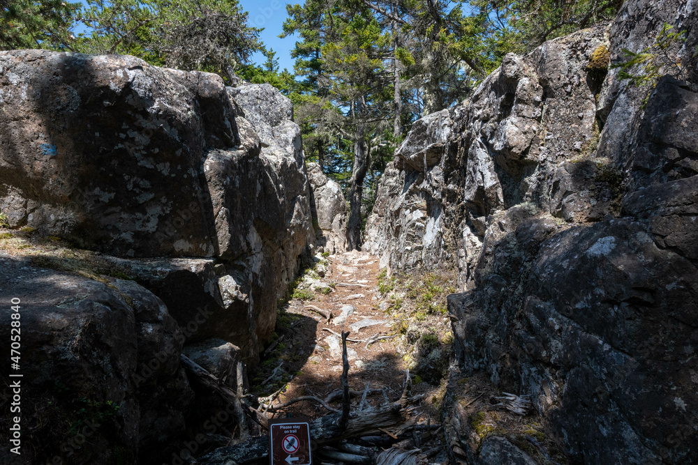 Trip to Acadia National Park 2021