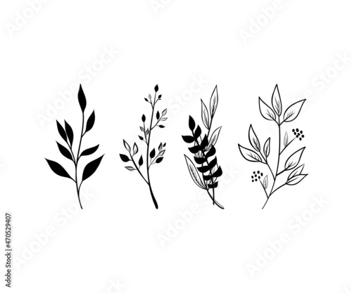 Vector sketch illustration. Palm foliage. Continuous line drawing. Vector outline illustration. Palm leaves.