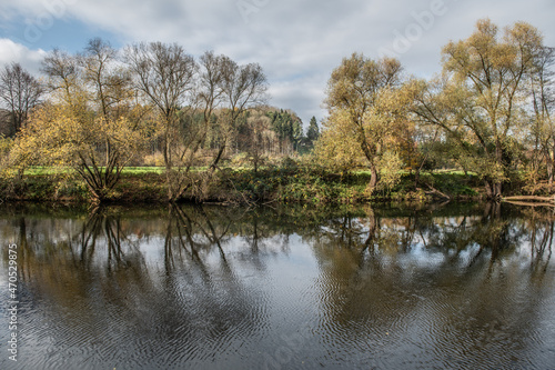 B  ume in herbstlicher Flusslandschaft mit gekr  uselter Wasseroberfl  che und Spiegelung