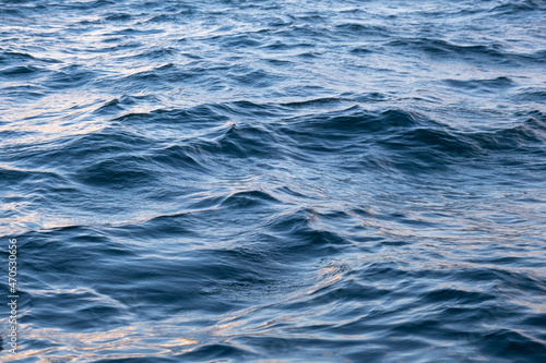 waves on the sea surface