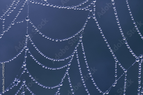 Spider web with strings of dewy pearls isolated on blue background.