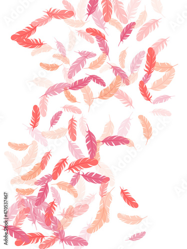 Fluffy twirled feathers on white design.