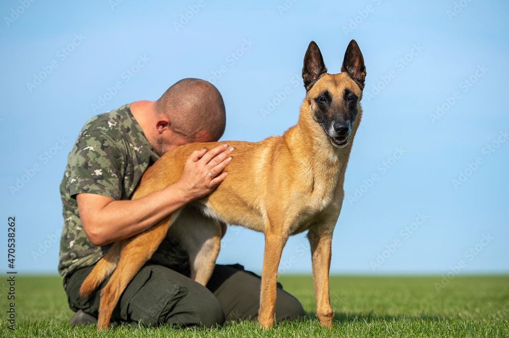 The owner sadly and faithfully hugs his Belgian Malinois