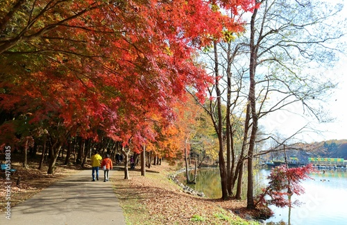 秋 紅葉 散策 風景