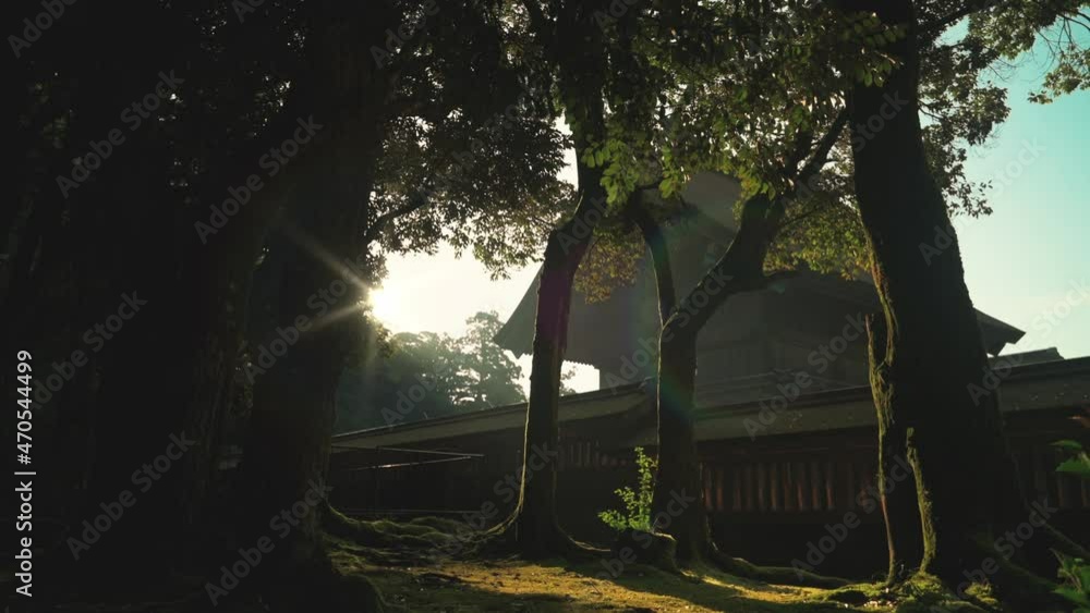 Izumo taisha main hall in the early morning sunlight Izumo taisha main hall in the early morning sunlight