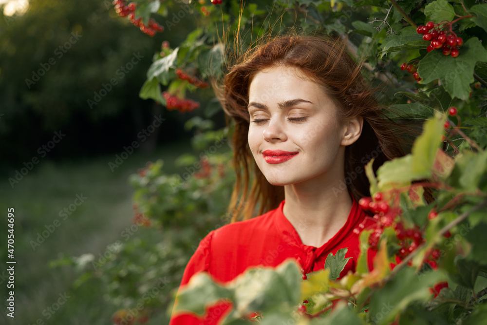cheerful woman in a red shirt bush berries countryside cheerful woman in a red shirt bush berries countryside