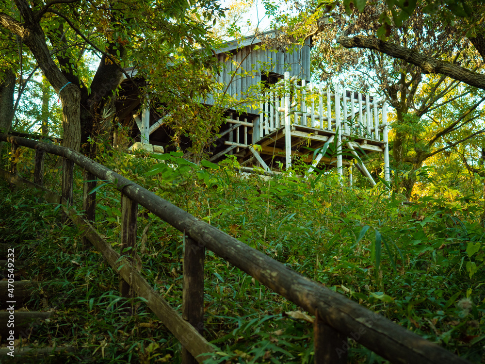 生田緑地 飯室山広場展望台