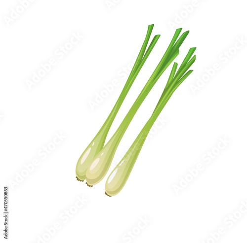 Thai isolated raw lemongrass spice vegetable or lemon grass citronella, vector. Farm market food, cooking seasoning or condiment, natural vegetable or organic veggie for salads