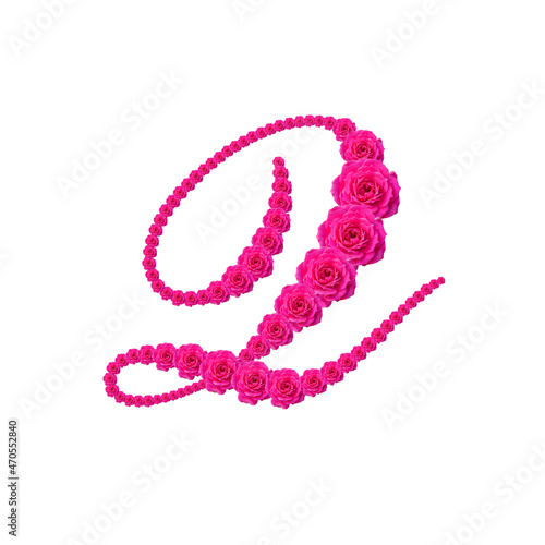 Letra Q hecha con rosa baby color fuccia