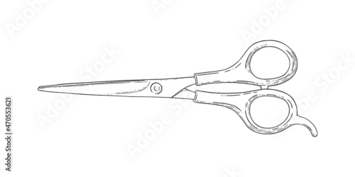 Scissors sketch. Hairdresser shears tool. Vector illustration isolated in white background