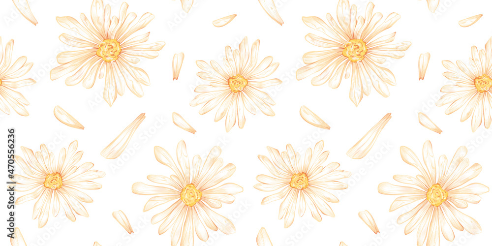 Watercolor seamless pattern with illustration of chamomile flower and petal isolated on white background. Cute vintage flat nature and floral design. Watercolor seamless pattern with illustration of chamomile flower and petal isolated on white background. Cute vintage flat nature and floral design.