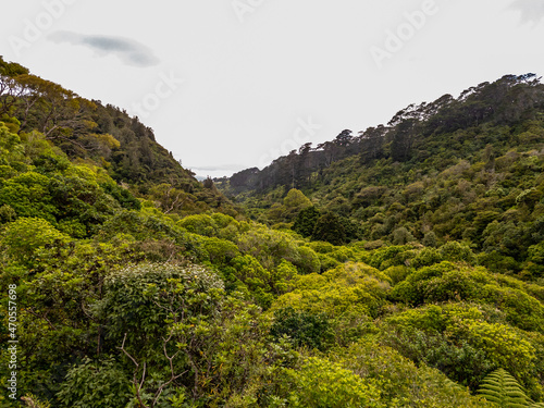 Zealandia Sanctuary of Wellington, New Zealand