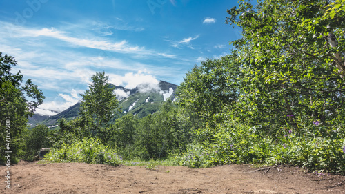 A dirt road runs through a green forest. Lush vegetation on the roadsides. A picturesque mountain range against a background of blue sky and clouds. A sunny summer day. Kamchatka
