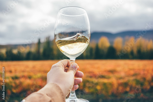 Woman drinks delicious white wine from wineglass near colorful vineyard against forest and hills on autumn day.