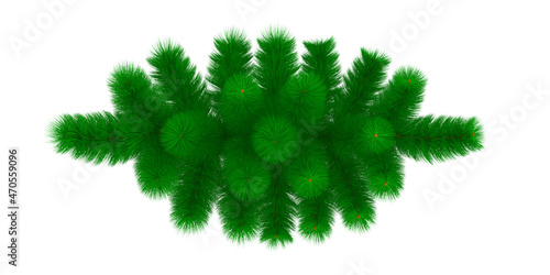 fur tree on white backgroun...