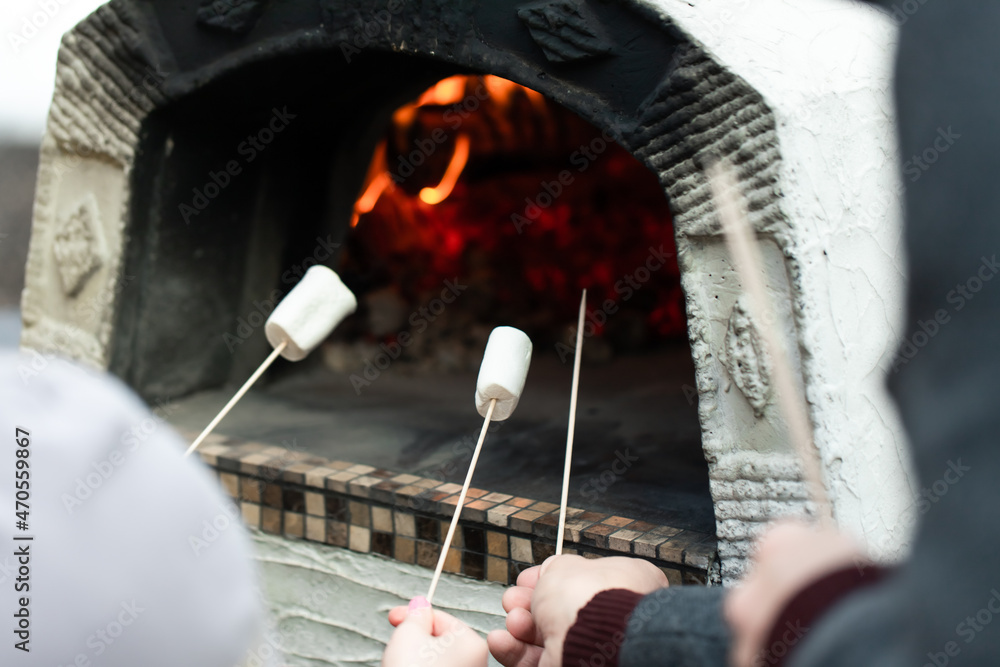 Friends roast marshmallows in a Pompeian oven in the backyard. Front view. Friends roast marshmallows in a Pompeian oven in the backyard. Front view.