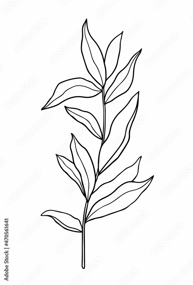 Fototapeta premium Abstract twig with leaves isolated on a white background. Vector hand-drawn illustration in outline style. Perfect for cards, logo, decorations, invitations.