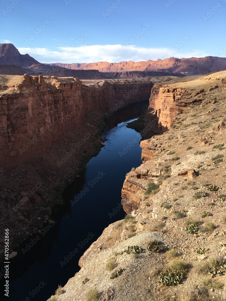 grand canyon state