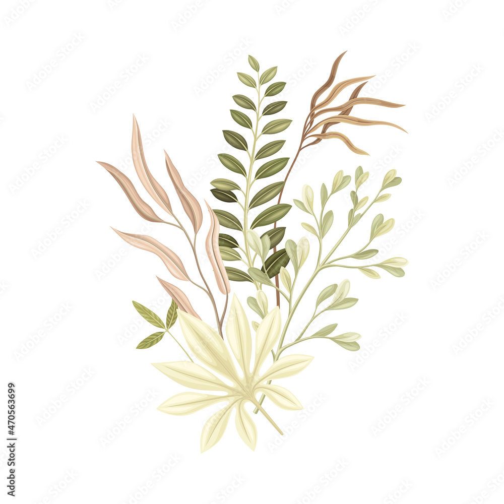 Fototapeta premium Wild dried plants. Beautiful bouquet in trendy colors for your own design vector illustration
