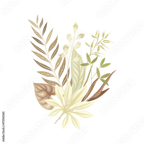 Bouquet of dried plants and flowers in trendy colors for your own design vector illustration