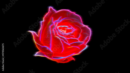 Abstract neon red rose flower on black background