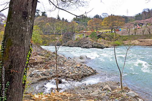 Wallpaper Mural 【群馬県利根郡】春の水上 桜咲く諏訪峡遊歩道 Torontodigital.ca