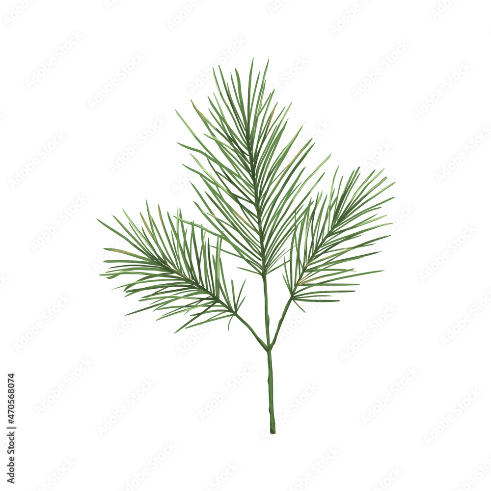 Fototapeta premium Watercolor Christmas illustration of winter greenery