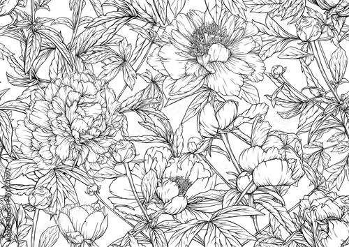 Peonies flowers. Seamless pattern, background. Outline hand drawing vector illustration. In botanical style